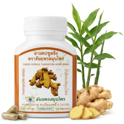 Капсулы с имбирем Thanyaporn Herbs, 100 шт