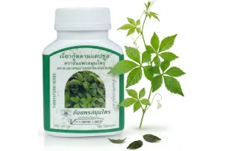 Травяные капсулы Джиаогулан Thanyaporn (100 капсул)