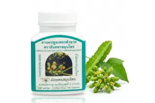 Капсулы Пет-Санг-Кхат Thanyaporn (Cissus Quadrangularis), 100 капсул