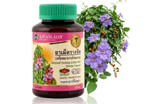 Тубергия лавролистная Khaolaor Rang Jeed (100 таблеток)