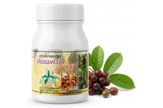 Капсулы «Тон Ном Квай №66» Lampang Herb (100 шт)
